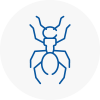 Ant Removals In Saint Neots