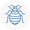 Bed Bug Extermination In Saint Neots
