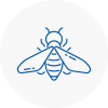 Bee Nest Removal Saint Neots