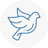 Bird Prevention Saint Neots