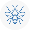 Saint Neots Hornet Nest Removals