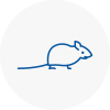 Mice Exterminators In Saint Neots