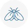 Moth Control Specialists In Saint Neots