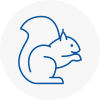Saint Neots Rodent Removals